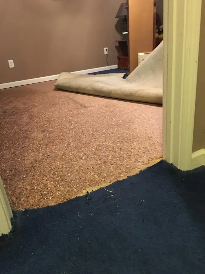 Carpet pad removal revealing water damage during Water Mitigation Services in Hamden