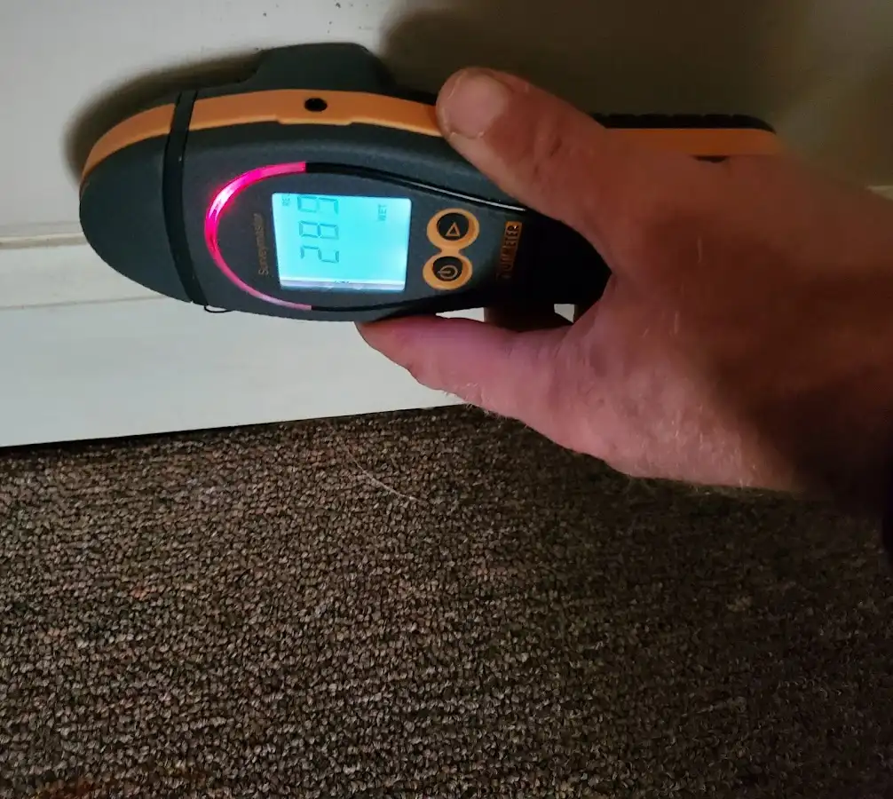 Moisture detection at baseboard during Mold Inspection & Testing in Hamden